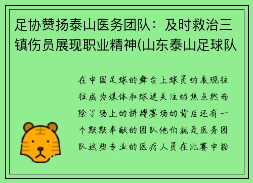 足协赞扬泰山医务团队：及时救治三镇伤员展现职业精神(山东泰山足球队外援队)