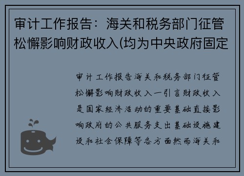 审计工作报告：海关和税务部门征管松懈影响财政收入(均为中央政府固定收入)