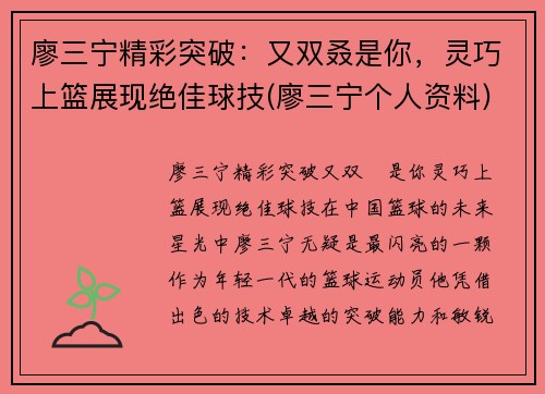 廖三宁精彩突破：又双叒是你，灵巧上篮展现绝佳球技(廖三宁个人资料)