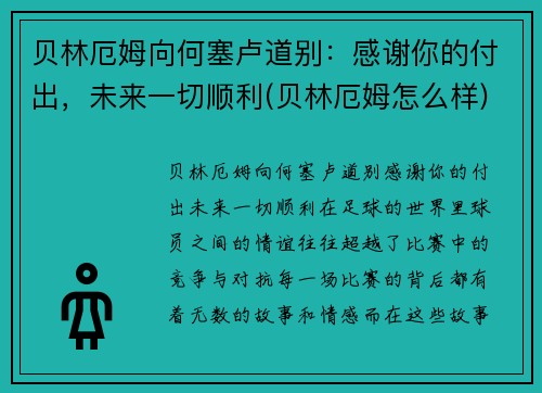 贝林厄姆向何塞卢道别：感谢你的付出，未来一切顺利(贝林厄姆怎么样)